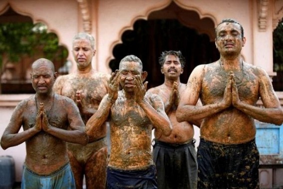 Indian doctors warn against cow dung as COVID cure Indian doctors warn against cow dung as COVID cure
