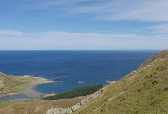 Coastal sea temperatures around New Zealand well above average