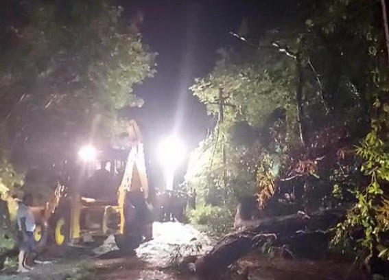 Kamalasagar underwent heavily risky situation after 5 Electric Poles Collapsed due to a Big Tree had fallen on Road 
