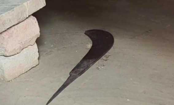 Wife Critically Injured in Domestic Violence Incident in Tripura
