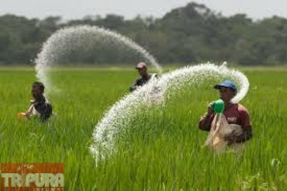 No urea fertilizer in the state , agriculture production to be affected No urea fertilizer in the state , agriculture production to be affected