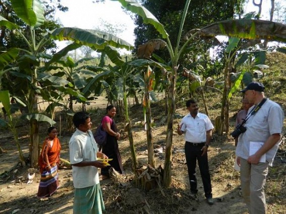 Indo-German IGDCP initiative : Bamboo handicraft to replace jhum cultivation: Tripura jhum farmers welcome skill development training Indo-German IGDCP initiative : Bamboo handicraft to replace jhum cultivation: Tripura jhum farmers welcome skill development training