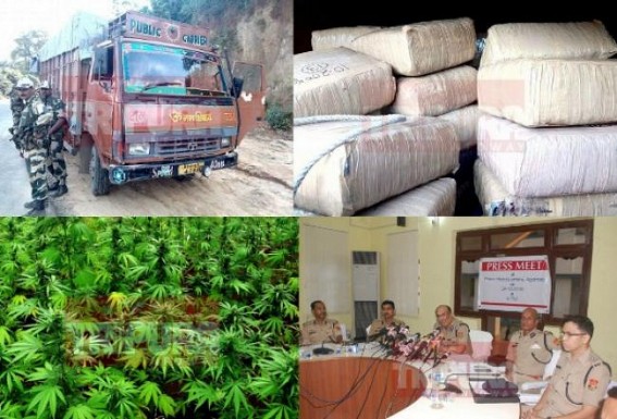 Tripura, NE tops in Narcotics smuggling : 159 Btn. BSF recovered 500 kilos Ganja from a Bihar origin Truck ahead of Durga Puja : DGP Nagraj’s claim about ‘Crime-Free’ festive season proven wrong Tripura, NE tops in Narcotics smuggling : 159 Btn. BSF recovered 500 kilos Ganja from a Bihar origin Truck ahead of Durga Puja : DGP Nagraj’s claim about ‘Crime-Free’ festive season proven wrong