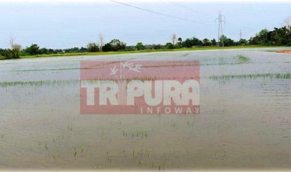 Tripura villages devastated due to excessive rain Tripura villages devastated due to excessive rain