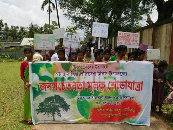 School Students organize Environmental Activity School Students organize Environmental Activity