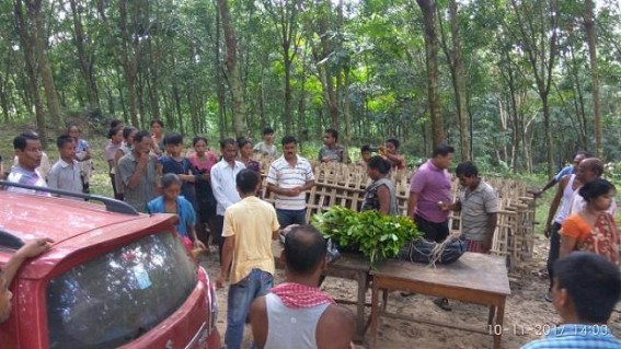Rubber garden worker died in accident at Kumarghat Rubber garden worker died in accident at Kumarghat