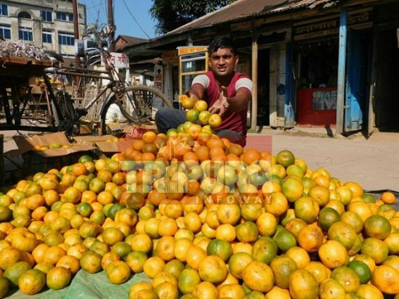 Mass demand of oranges in Tripura @ Rs. 10 per piece Mass demand of oranges in Tripura @ Rs. 10 per piece