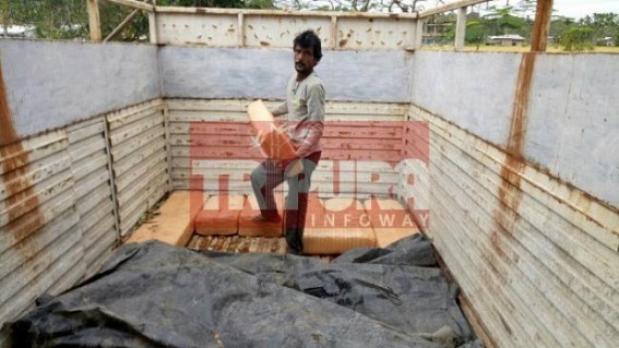 160 Kg ganja recovered 160 Kg ganja recovered
