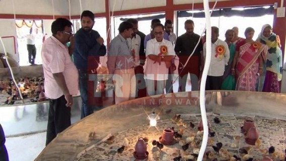 Tripura's agricultural, industrial productions are not upto the mark : Tapan Chakraborty Tripura's agricultural, industrial productions are not upto the mark : Tapan Chakraborty