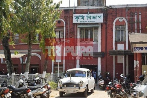 Agriculture Director suspends employee after Fake Graduation Certificate Exposed via media : No legal action taken Agriculture Director suspends employee after Fake Graduation Certificate Exposed via media : No legal action taken