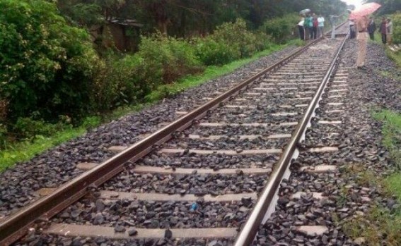 Man cut in two by train Man cut in two by train
