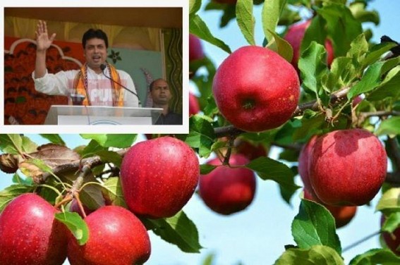 Biplab gives netizens new laughing-feed as he said, ‘Tripura will have apple gardens’ Biplab gives netizens new laughing-feed as he said, ‘Tripura will have apple gardens’