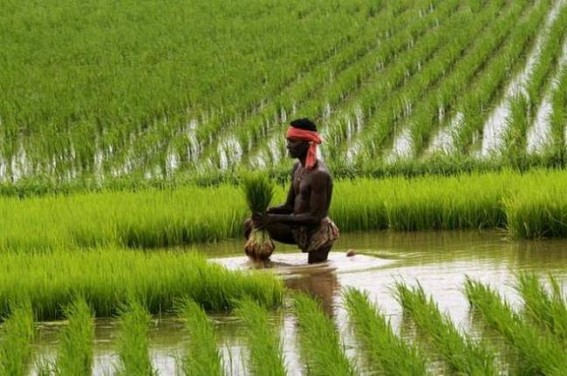 67.82 lakh farmers miss PM-KISAN scheme benefits 67.82 lakh farmers miss PM-KISAN scheme benefits