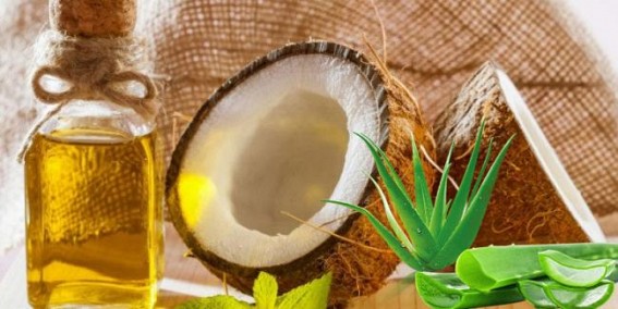 Care for Your Hair with Aloe Vera, Coconut Oil Care for Your Hair with Aloe Vera, Coconut Oil