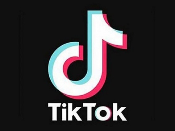 Government seeks reply from TikTok on security, 'age gate' Government seeks reply from TikTok on security, 'age gate'
