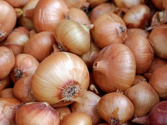 Onion prices rocketing nationally, Tripura’s onion rate Rs.150 P/K Onion prices rocketing nationally, Tripura’s onion rate Rs.150 P/K