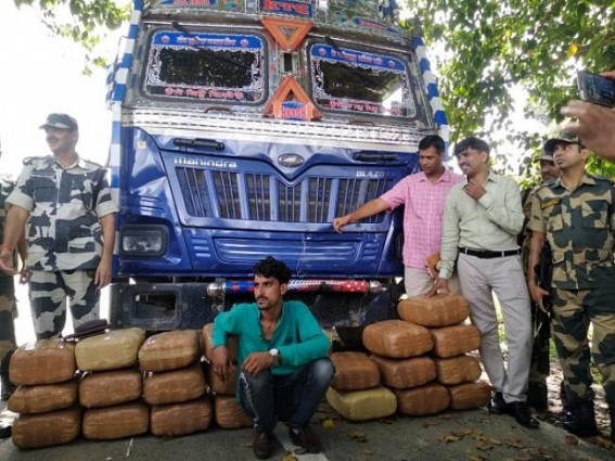 216 kg ganja seized at Panisagar, 1 arrested 216 kg ganja seized at Panisagar, 1 arrested