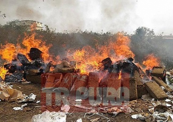 Huge quantity of phsensedyl, ganja destroyed Huge quantity of phsensedyl, ganja destroyed