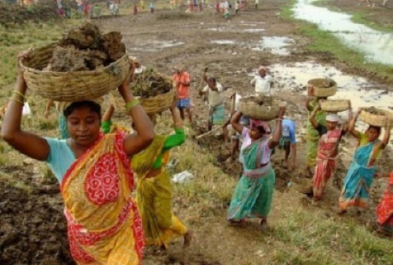 MGNREGA mandays dropped drastically in Tripura : Poverty in rise MGNREGA mandays dropped drastically in Tripura : Poverty in rise