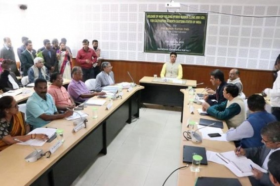 Board release hybrid rubber clone for northeast India Board release hybrid rubber clone for northeast India