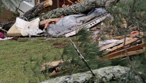 Daily Worker died after fell from tree Daily Worker died after fell from tree