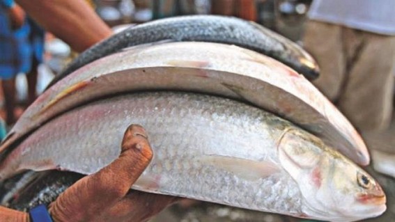 Tripura to expand Fish Farming business : State Govt to focus more on primary sectors for overall growth Tripura to expand Fish Farming business : State Govt to focus more on primary sectors for overall growth