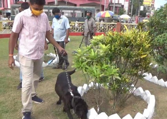 Security beefed up ahead of Independence Day Security beefed up ahead of Independence Day