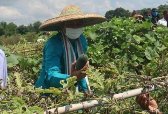 CM’s watermelon garden visit caused losses to the Farmer : CM’s people allegedly robbed water-melons without giving prices CM’s watermelon garden visit caused losses to the Farmer : CM’s people allegedly robbed water-melons without giving prices
