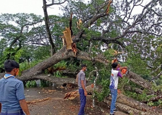 Ranirbazar Scout and Rovers QRT volunteer cleaned National Highway by cutting trees, Vehicles remained stranded for hours Ranirbazar Scout and Rovers QRT volunteer cleaned National Highway by cutting trees, Vehicles remained stranded for hours