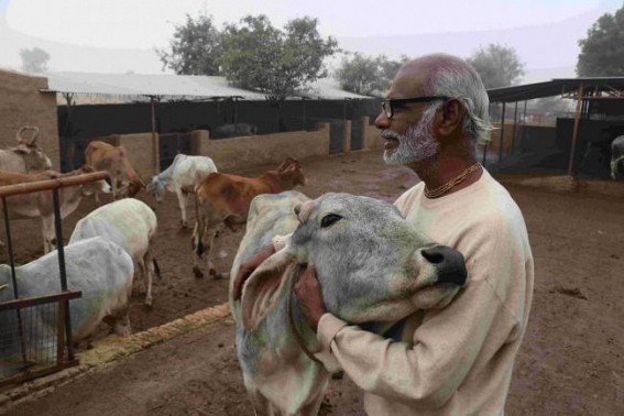 Cow dung becomes a means of employment in UP Cow dung becomes a means of employment in UP