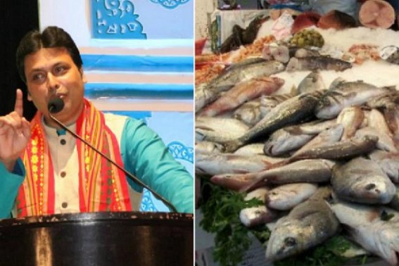 CM Biplab Deb asked Engineers to Farm Fish : Claims, 'An Engineer has already started Hilsa fish farming' CM Biplab Deb asked Engineers to Farm Fish : Claims, 'An Engineer has already started Hilsa fish farming'