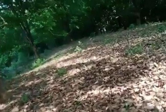 Hanging Dead Body of a Man was recovered from a Forest area in Aralia Hanging Dead Body of a Man was recovered from a Forest area in Aralia