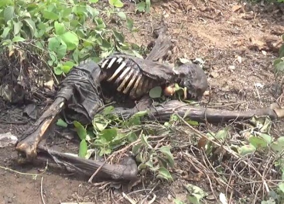 Human skeleton found in deep forest at Nandannagar Human skeleton found in deep forest at Nandannagar