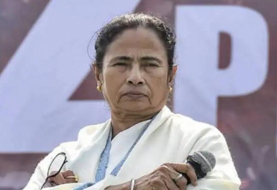 Mamata Banerjee to contest from Bhawanipur Mamata Banerjee to contest from Bhawanipur