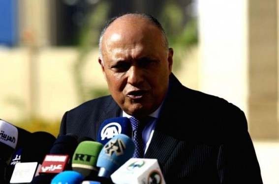 Egyptian FM calls on new Israeli govt to resume regional peace process Egyptian FM calls on new Israeli govt to resume regional peace process