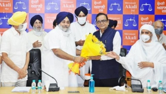 SAD joins hands with BSP for Punjab polls; latter to contest 20 seats SAD joins hands with BSP for Punjab polls; latter to contest 20 seats