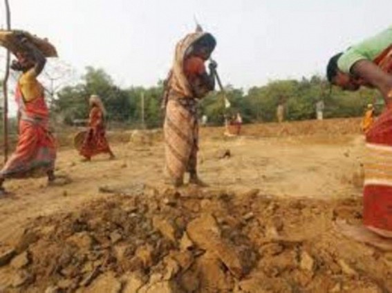 People above 55 excluded from MGNREGA struggling for food in TN People above 55 excluded from MGNREGA struggling for food in TN