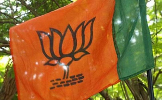 BJP-ruled Delhi civic bodies get new Mayors for next one year BJP-ruled Delhi civic bodies get new Mayors for next one year