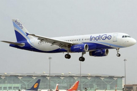 IndiGo, American Airlines ink codeshare agreement IndiGo, American Airlines ink codeshare agreement