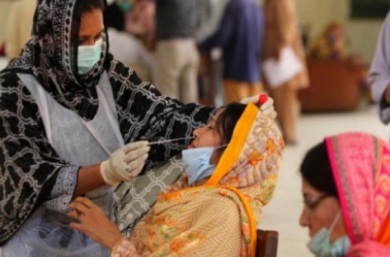 Pakistan reports 492 new Covid cases, 5 more deaths Pakistan reports 492 new Covid cases, 5 more deaths