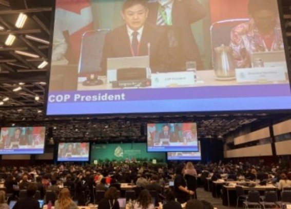 Nearly 200 nations adopt landmark biodiversity pact to protect 30% lands, oceans Nearly 200 nations adopt landmark biodiversity pact to protect 30% lands, oceans