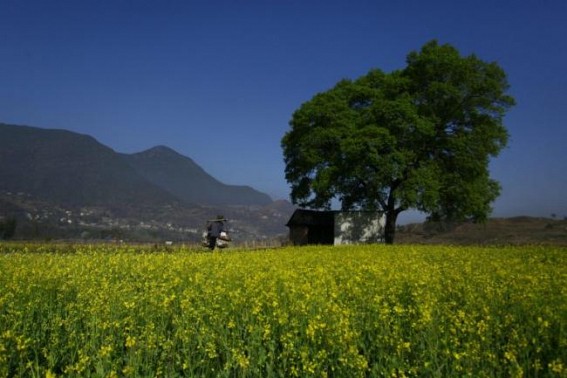Rural consumption in Q3FY22 estimated to have grown 2% YoY Rural consumption in Q3FY22 estimated to have grown 2% YoY
