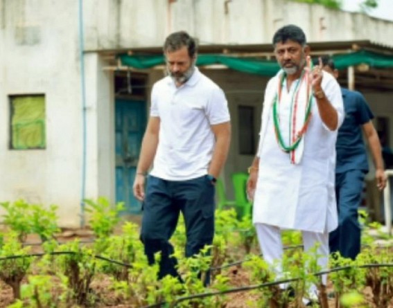 Shivakumar meets Rahul, gets proposal to have a say in K'taka cabinet selection Shivakumar meets Rahul, gets proposal to have a say in K'taka cabinet selection