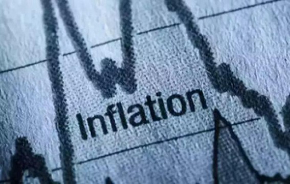 NDA White Paper: Price stability was hit as inflation raged during UPA rule
