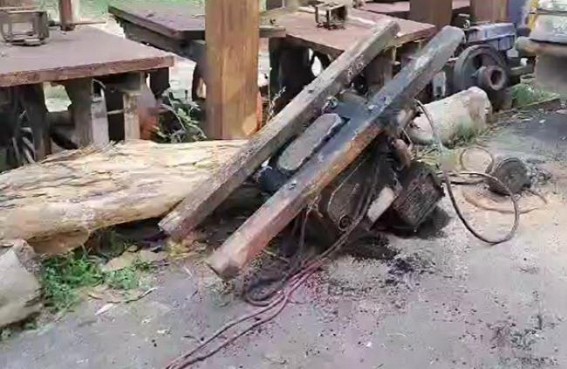Forest Dept busted Wood cutting Racket in Gokulnagar, but Criminals Escaped Forest Dept busted Wood cutting Racket in Gokulnagar, but Criminals Escaped
