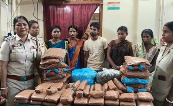 Five Held with Ganja in Teliamura, Four Women among Accused Five Held with Ganja in Teliamura, Four Women among Accused
