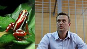 Russia Killed Opposition Leader in Prison with Deadly Frog Toxic Poison: New Report Revealed Russia Killed Opposition Leader in Prison with Deadly Frog Toxic Poison: New Report Revealed